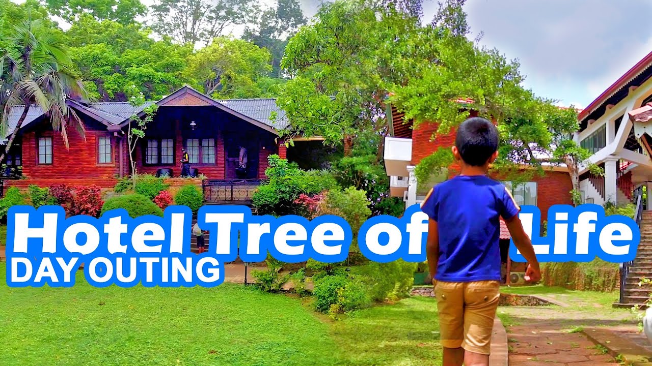Day in a Kandy Hotel Rs.3,900 | Hotel Tree of Life Kandy | Sri Lanka | Travel Diary