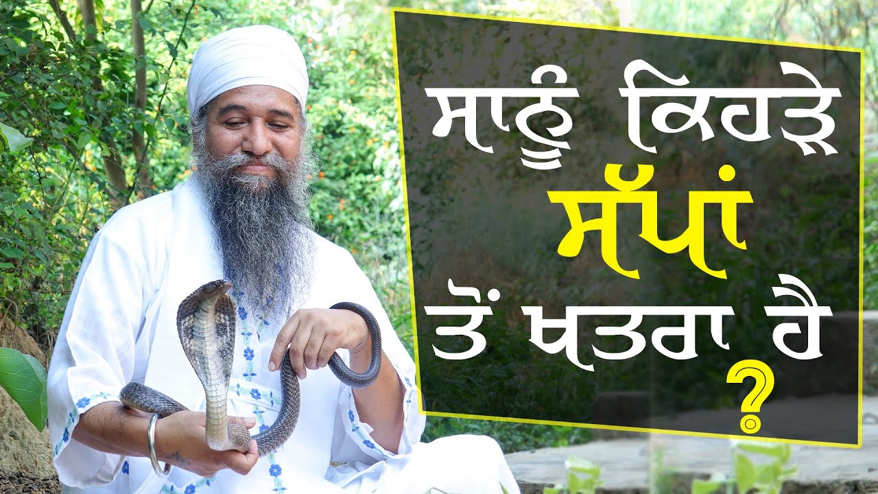 ਸਾਨੂੰ ਕਿਹੜੇ ਸੱਪਾਂ ਤੋਂ ਖਤਰਾ ਹੈ? Sant Baba Darshan Singh Ji Tapoban Dhakki Sahib