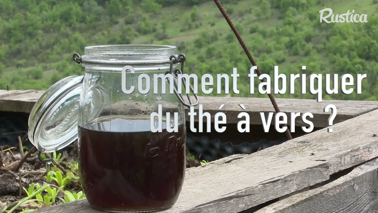 Comment fabriquer du thé de compost avec un lombricomposteur