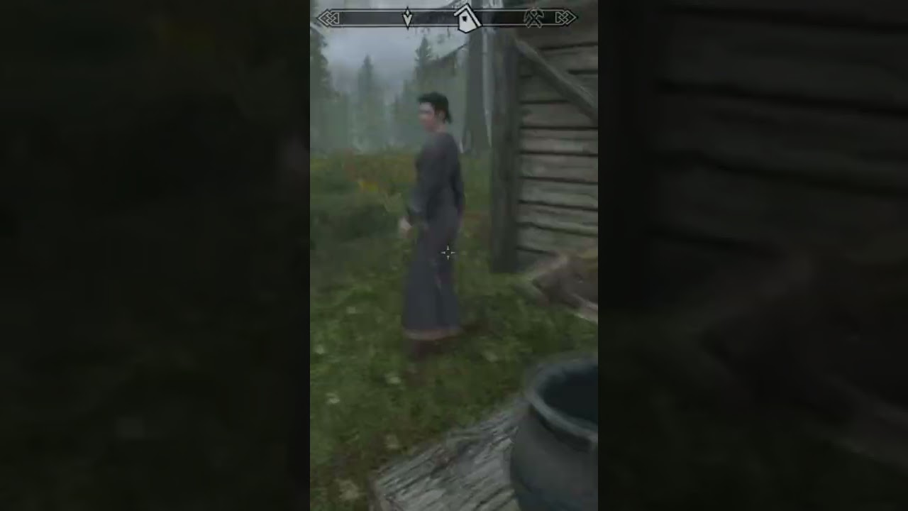 &ldquo;This is why I play Khajiit in Skyrim&hellip;&rdquo;
