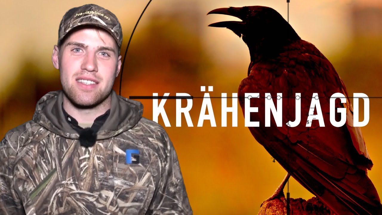 Sonnenaufgang im Tarnschirm | JÄGER Filme Krähenjagd