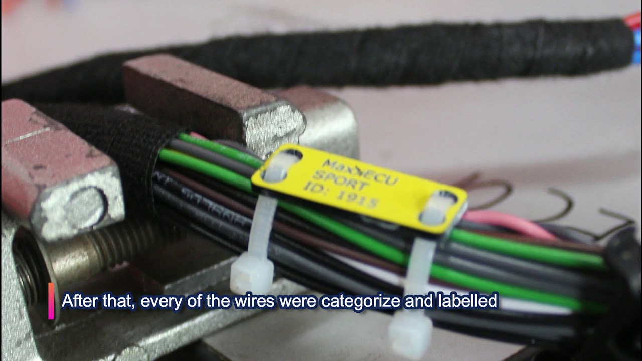 Wiring Process - MaxxECU Sport