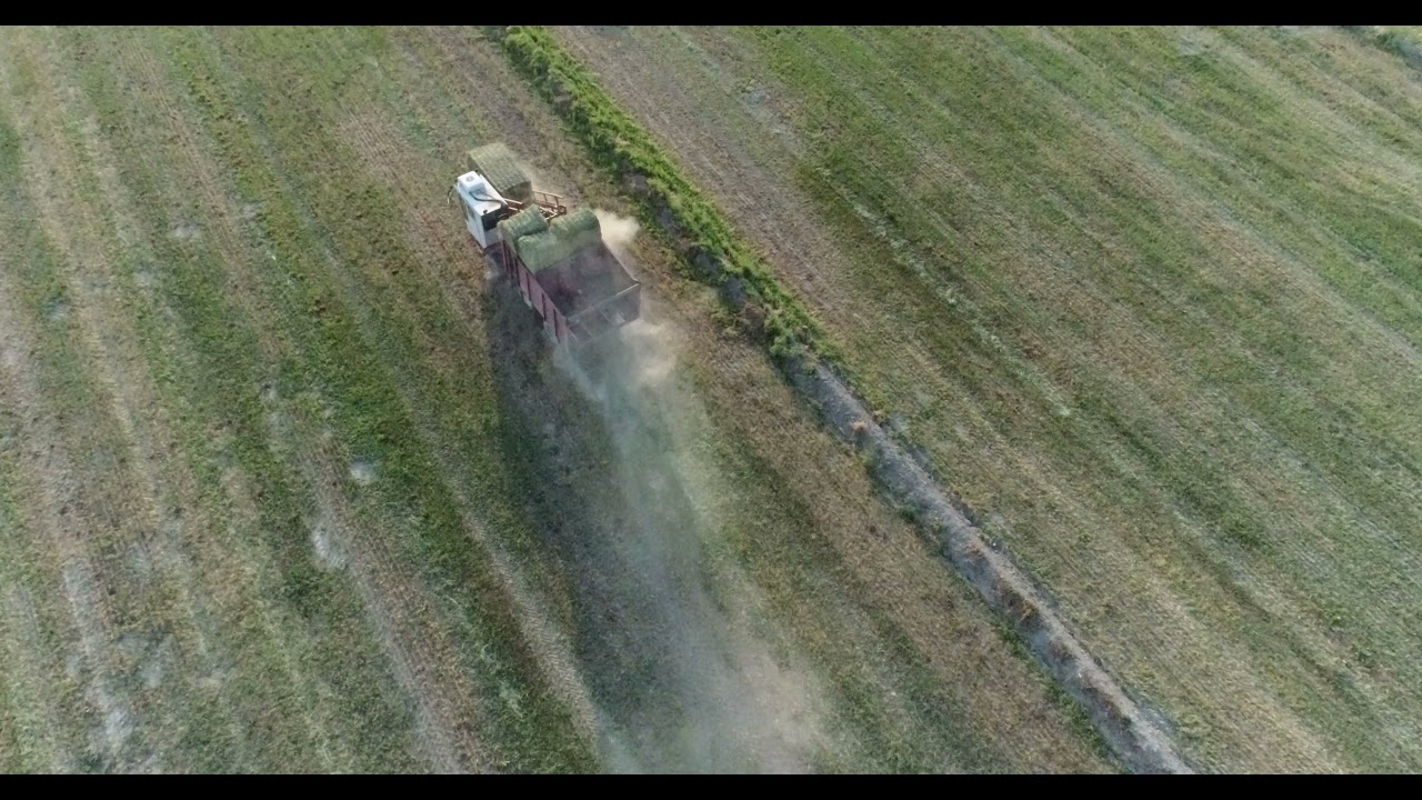 FREEMAN BALE WAGON