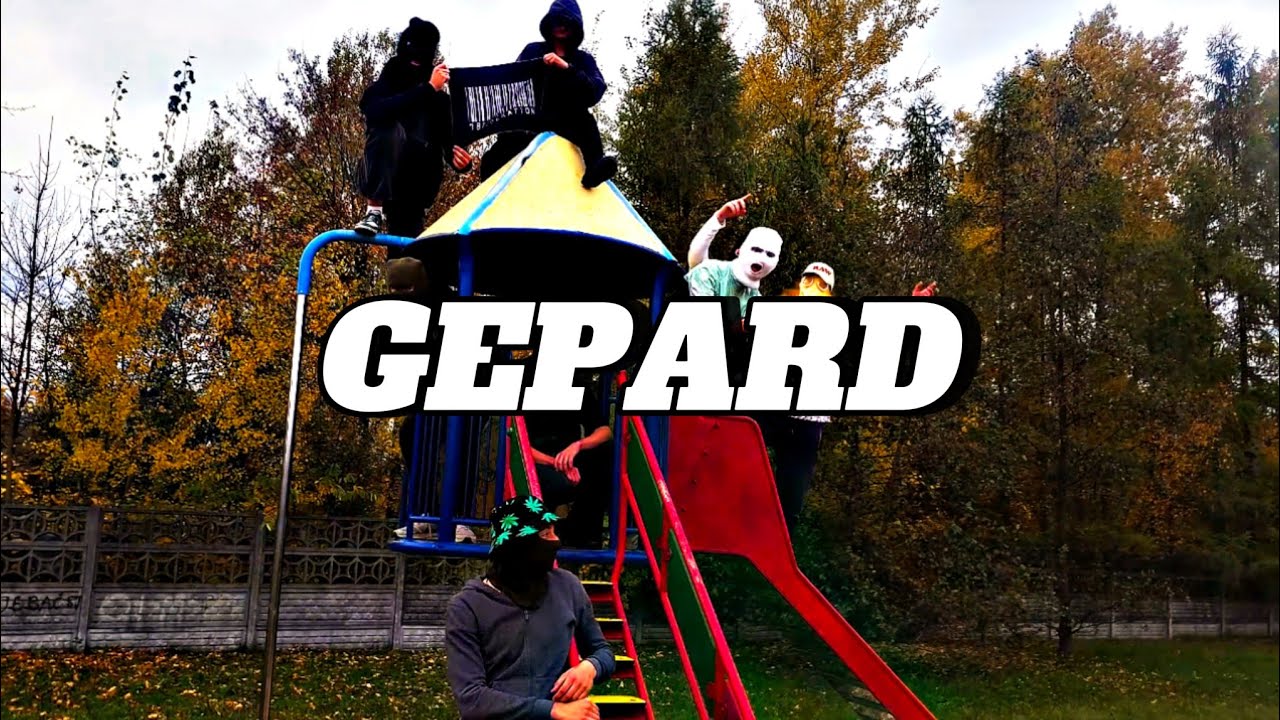 Maciura x Wirtual - Gepard (Video)