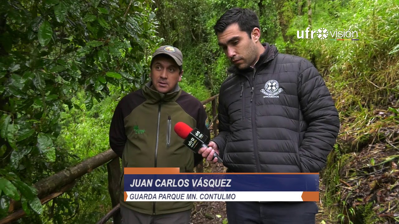 Estos son los atractivos en flora y fauna que ofrece el Monumento Natural Contulmo | UFROVISIÓN