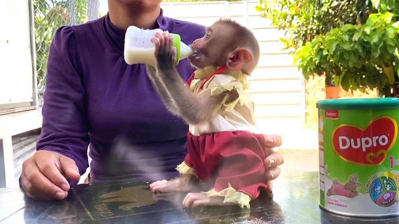 So Lovely!! Little Princess LIORA is drinking her favorite milk in front of the house