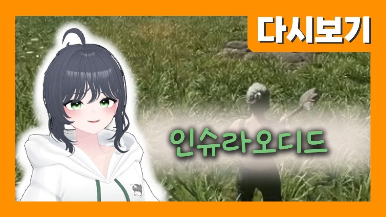 [2026.01.31] 화창한 주말 모닝
