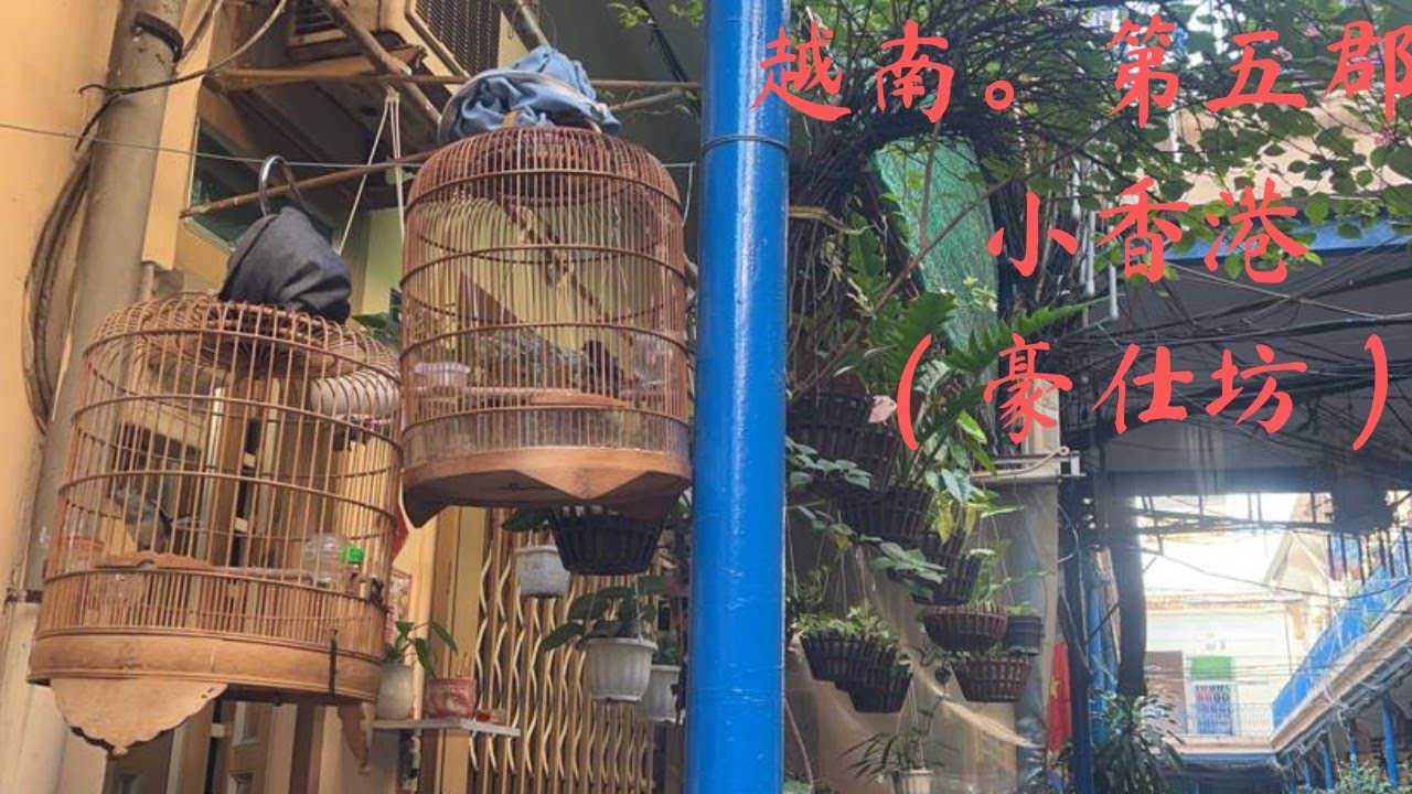 越南·西貢唐人街裏的小香港(豪仕坊）Little Hong Kong In Vietnam