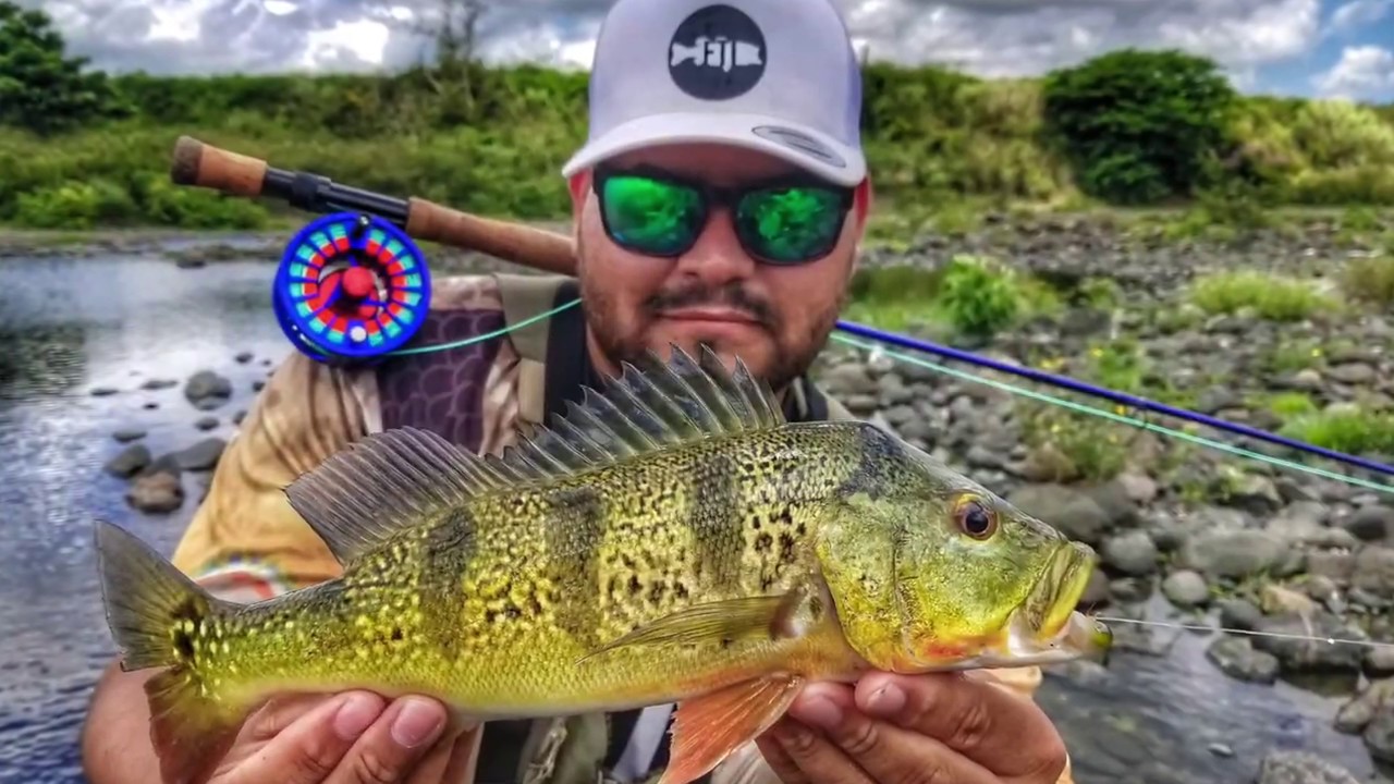 PREDATOR ROD + AVID REEL BY MAXCATCH