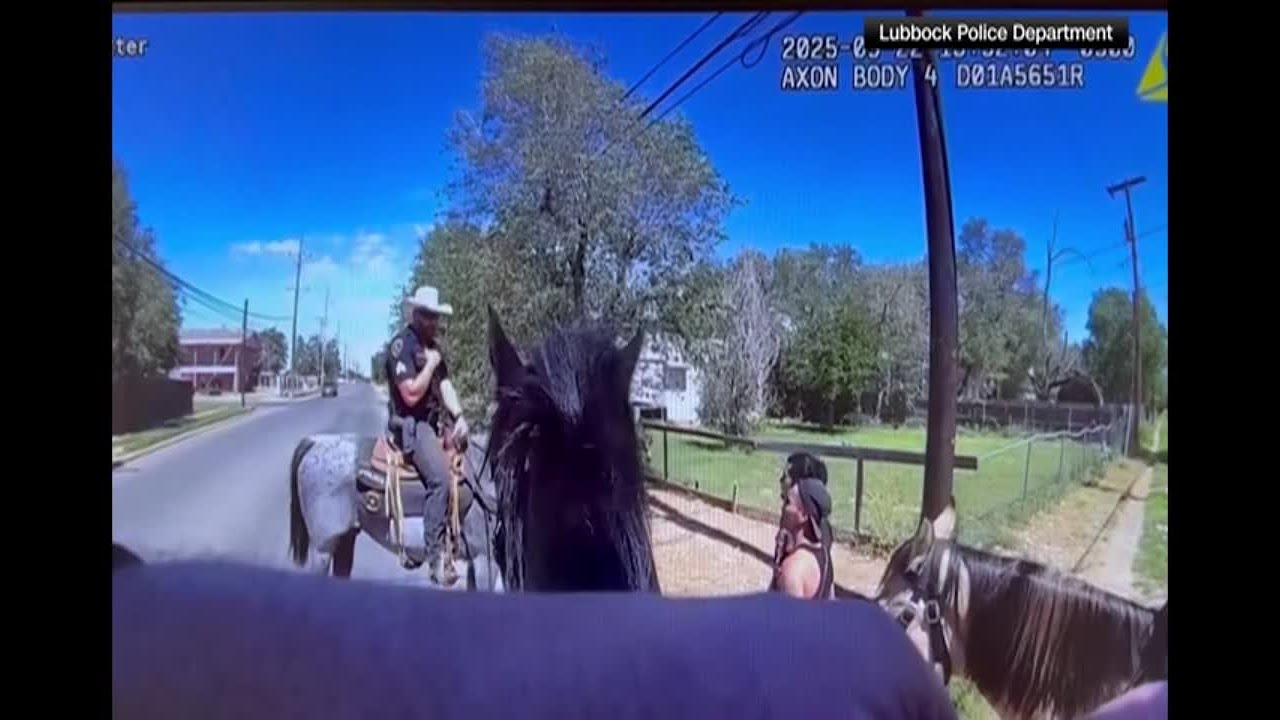 Смотрите, как подозреваемый в Техасе убегает от HORSE, вынюхивающего наркотики. (Это плохо заканч...