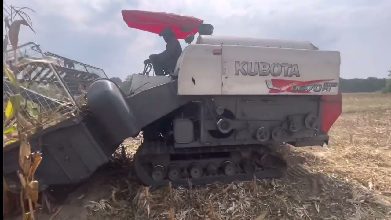 Corn Harvester in the Philippines | Kubota DC 70 Plus PH | #harvester