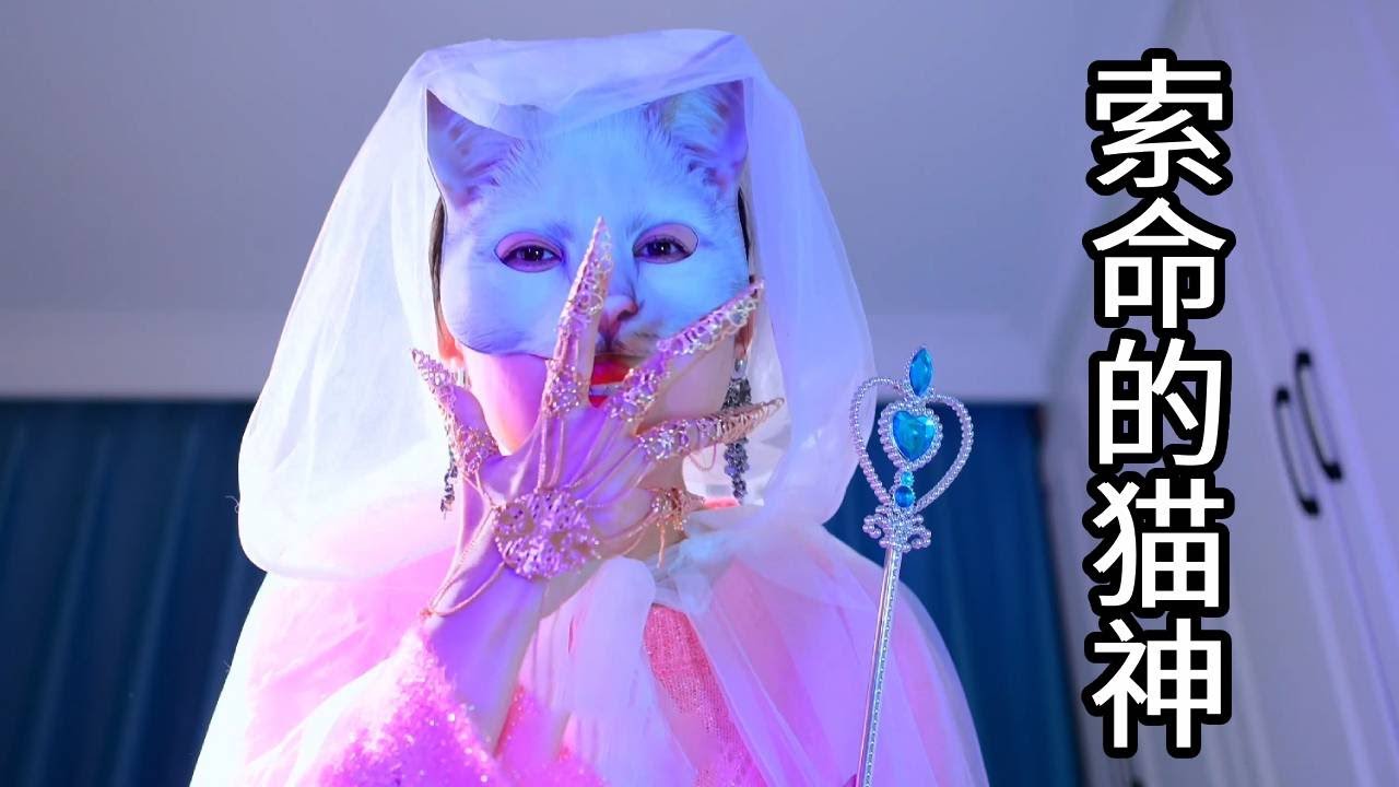 可怜七宝病重，邪恶的猫神却要拿走小圆子的命！两只猫咪究竟该怎么办【七宝小圆子】
