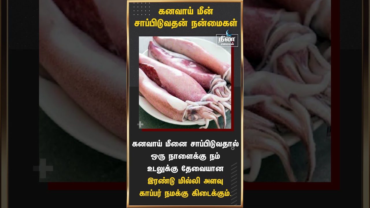 கனவாய் மீன் சாப்பிடுவதால் ஏற்படும் நன்மைகள்..! #seafood #kanavai #healthtips #tamilhealthtips