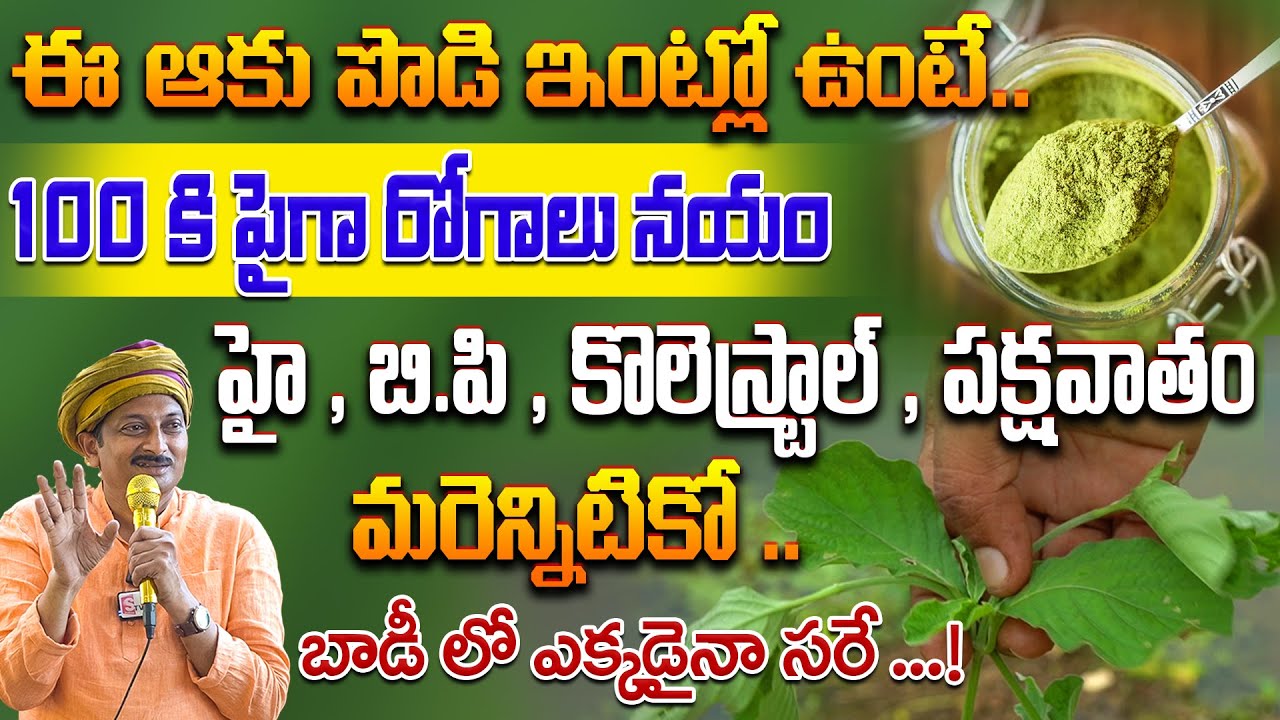ఈ ఆకు పొడి ఇంట్లో ఉంటే 100 కి పైగా రోగాలు నయం హై , బి.పి , కొలెస్ట్రాల్ , పక్షవాతం | Dr.Ravivarma