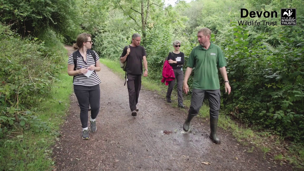 An introduction to Mincinglake Valley Park, Exeter