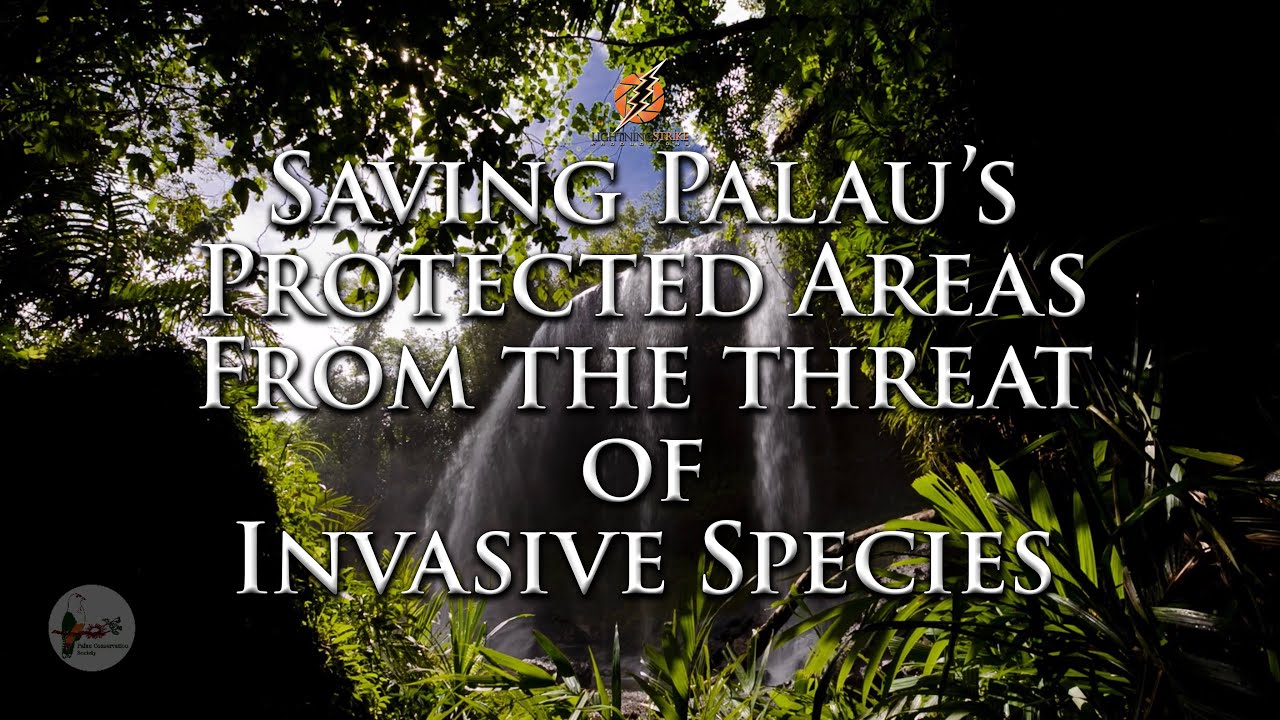 Saving Palau's protected areas from the threat of Invasive Species