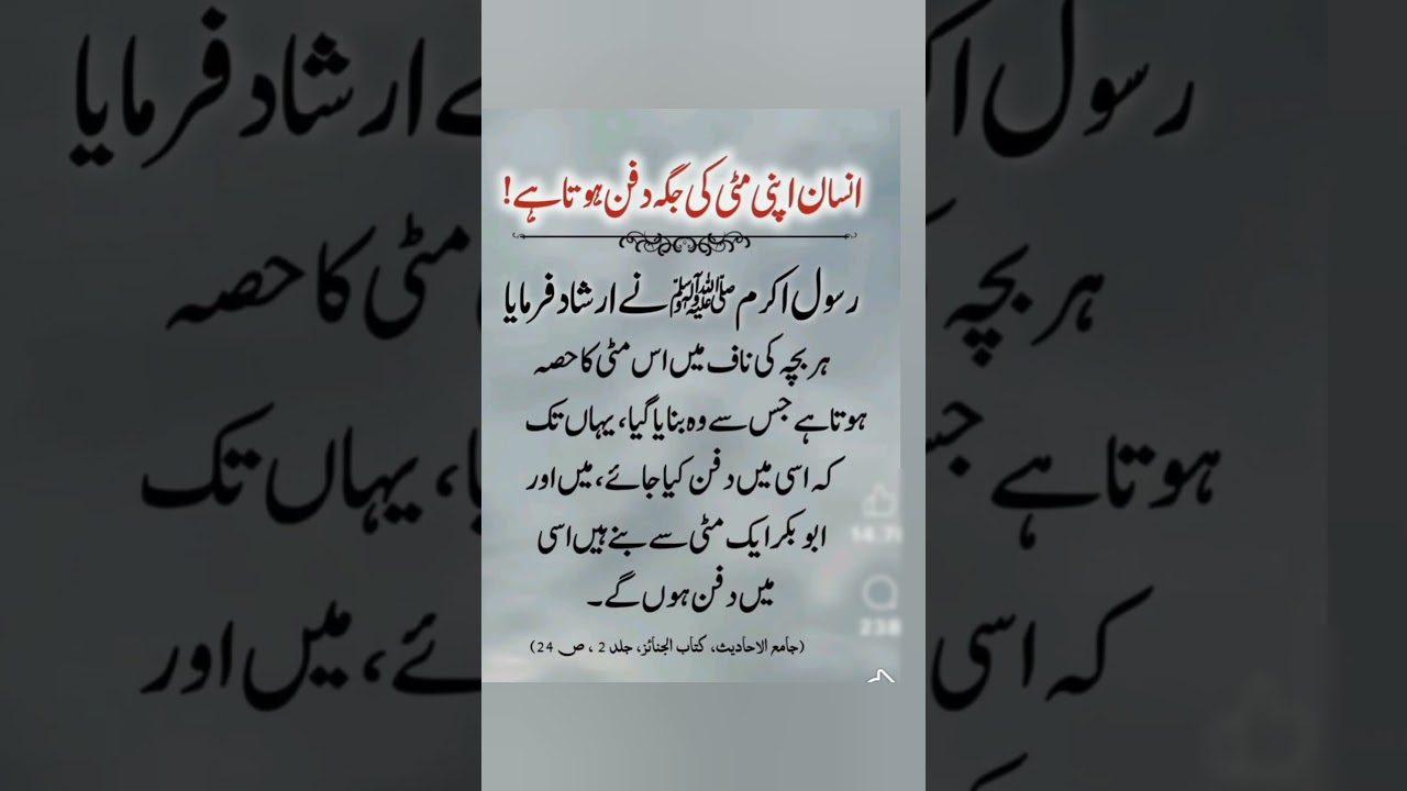 Hadees Sharif | Hadees e Nabvi ﷺ | Hadees in Urdu | Hadees e Pak #shots #virelshorts