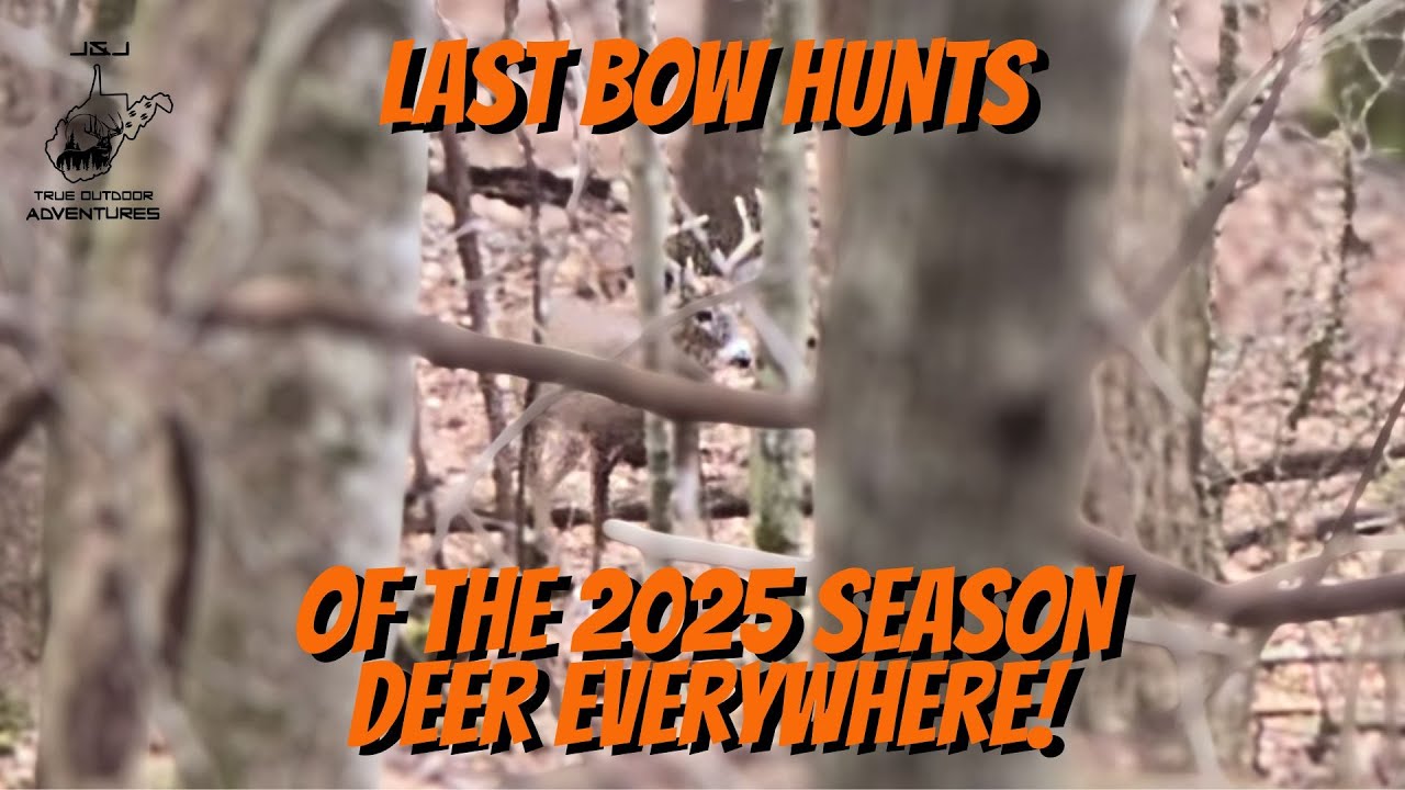 Last Bow Hunts - Deer Everywhere!