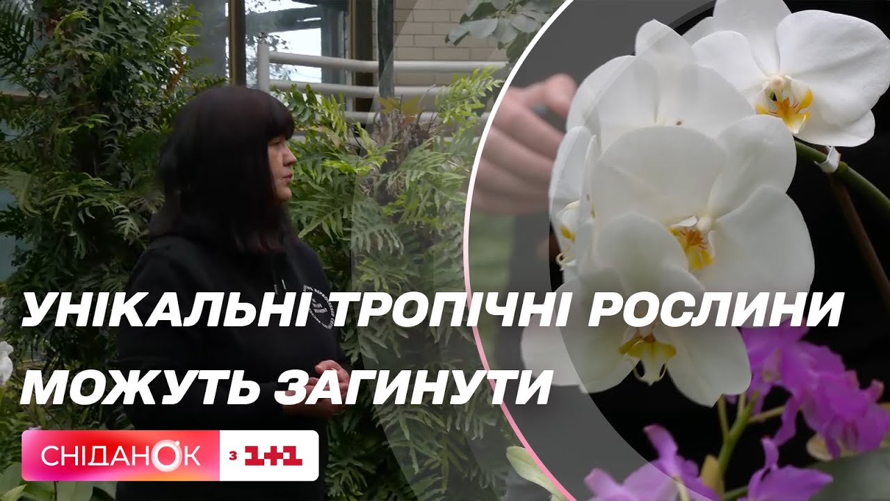 Как ботанический сад имени Гришко выживает в условиях войны