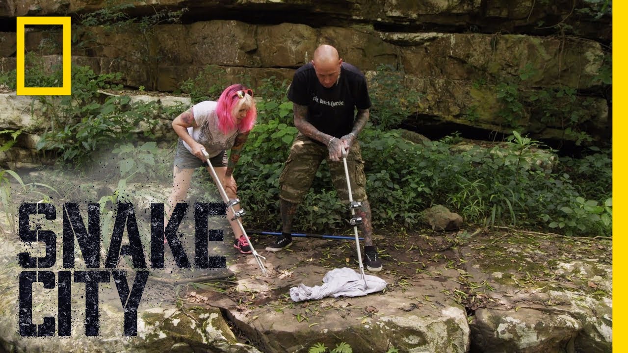 Time to Release the Mamba | Snake City