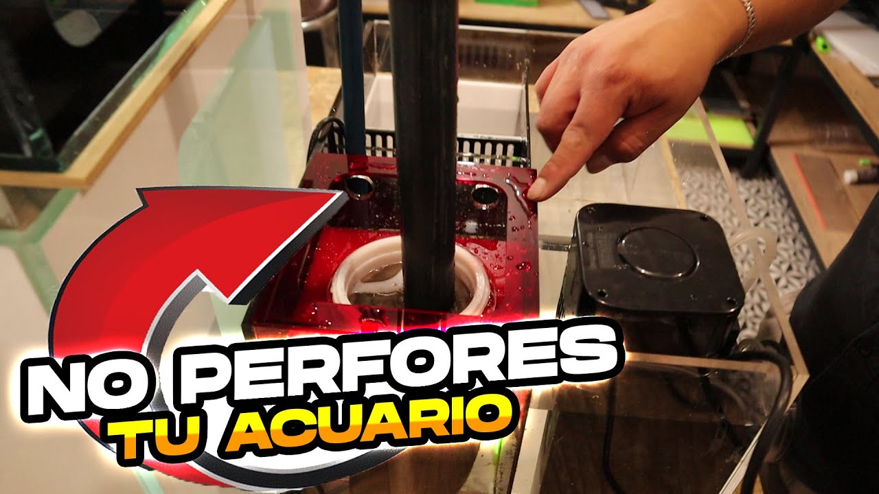 Como tener un sump sin perforar tu pecera