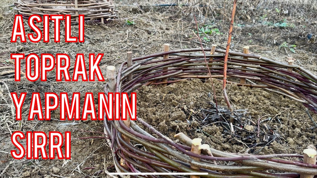 Siz de bahçenize böyle yapın ağaçlar bayram etsin