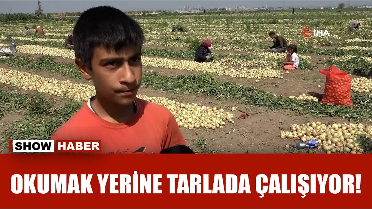 50 liraya tarlada çalışan koca yürekli Yusuf