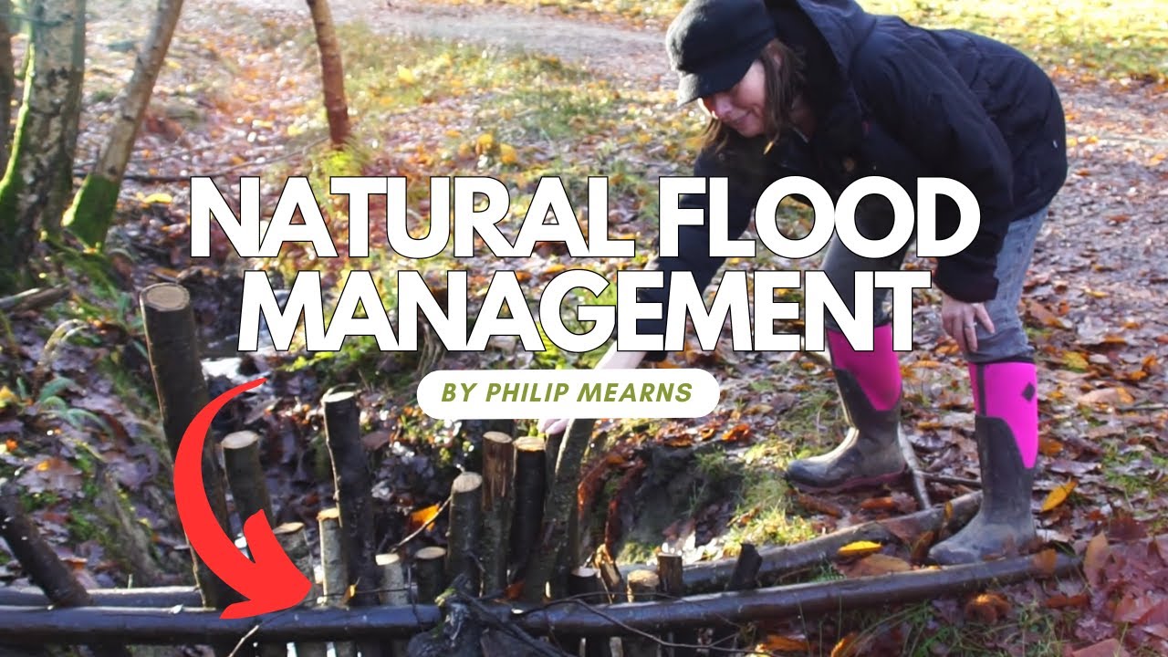 Natural Flood Management