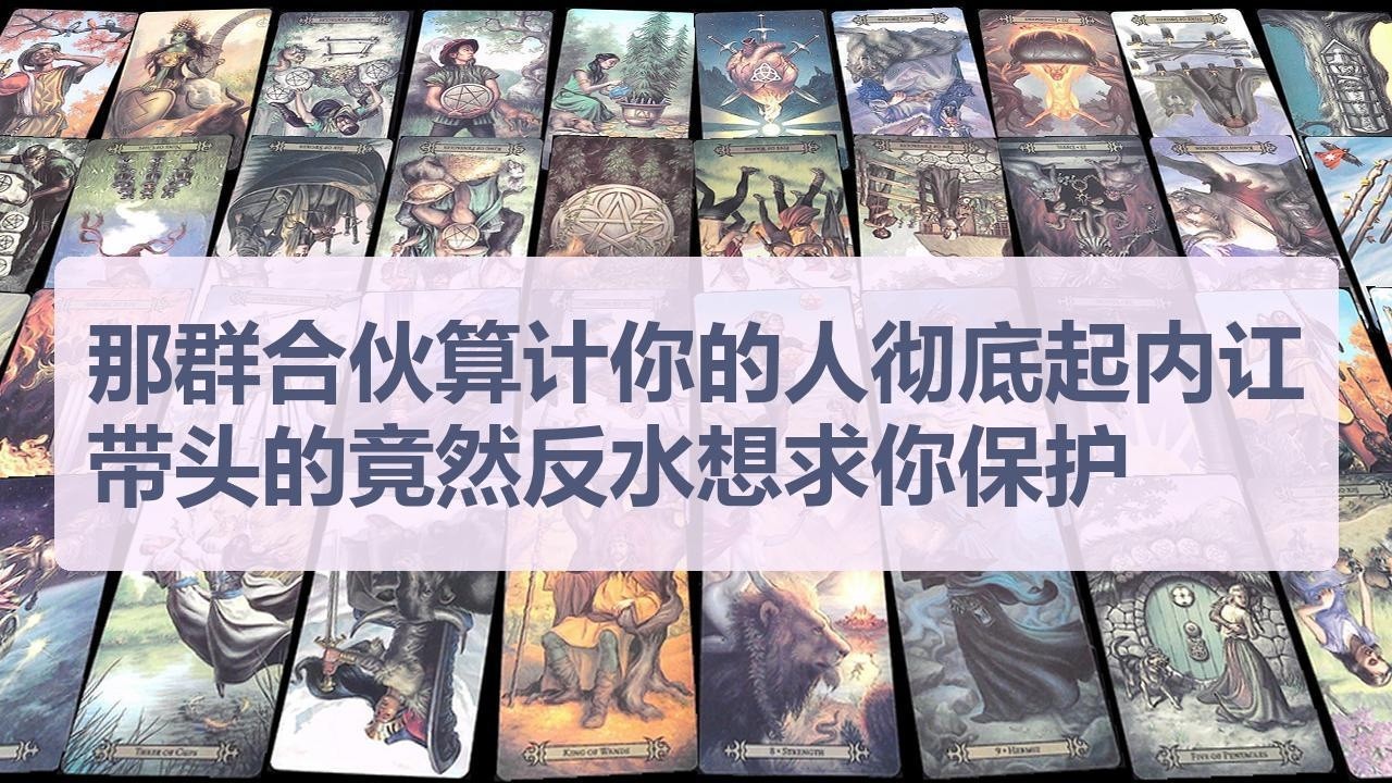 Tarot✨爽翻了！那群合伙算计你的人彻底起内讧，带头的竟然反水想求你保护