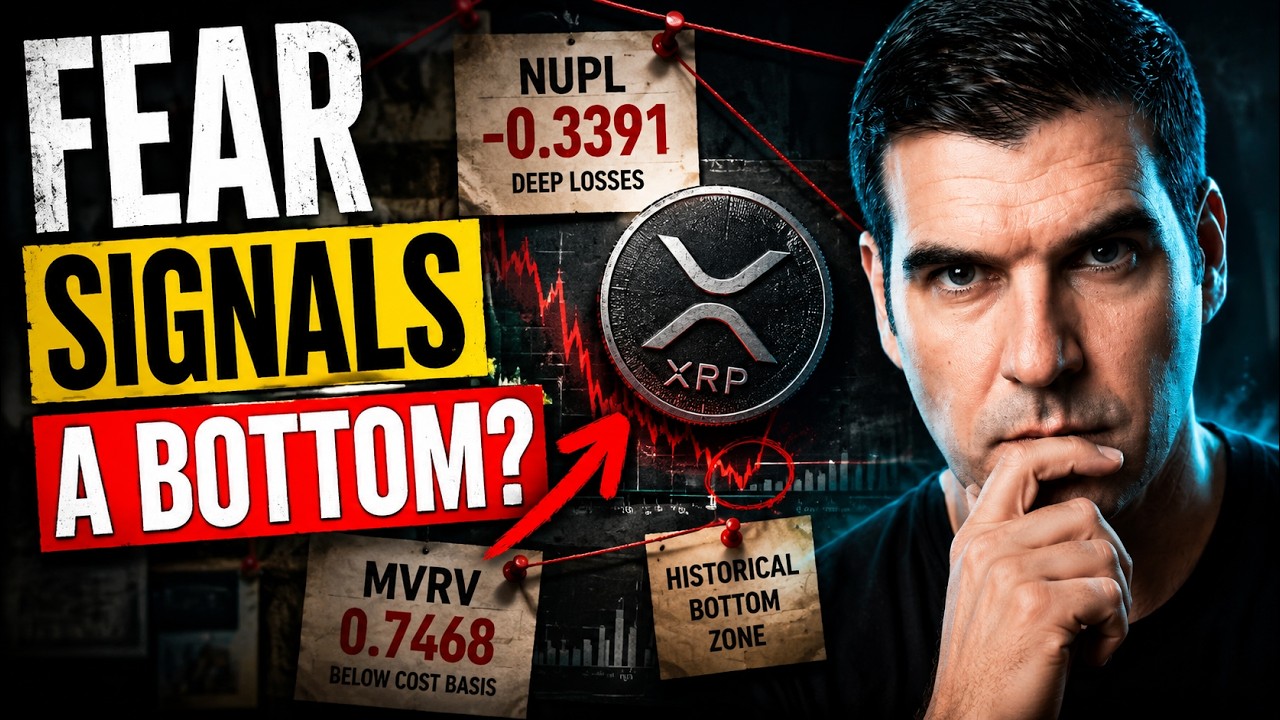 Страх вокруг XRP становится экстремальным... и это ХОРОШО