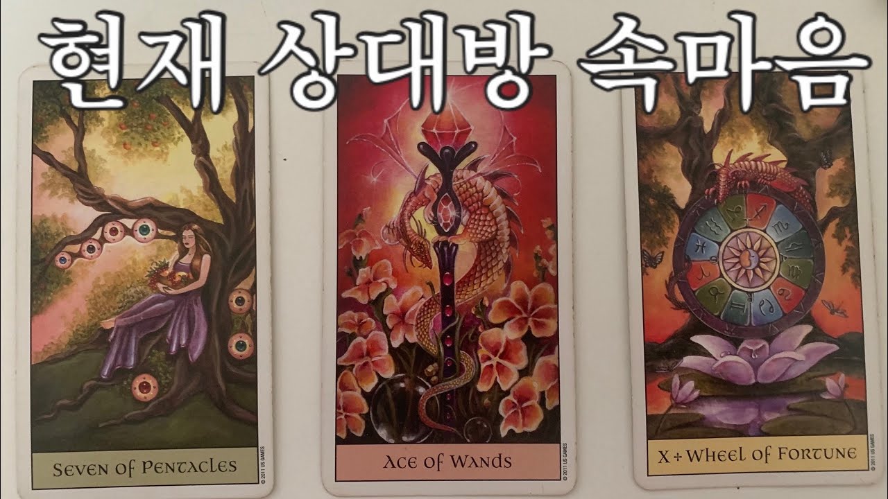 인연성 • 상대방 속마음 • 앞으로의 흐름 ✨