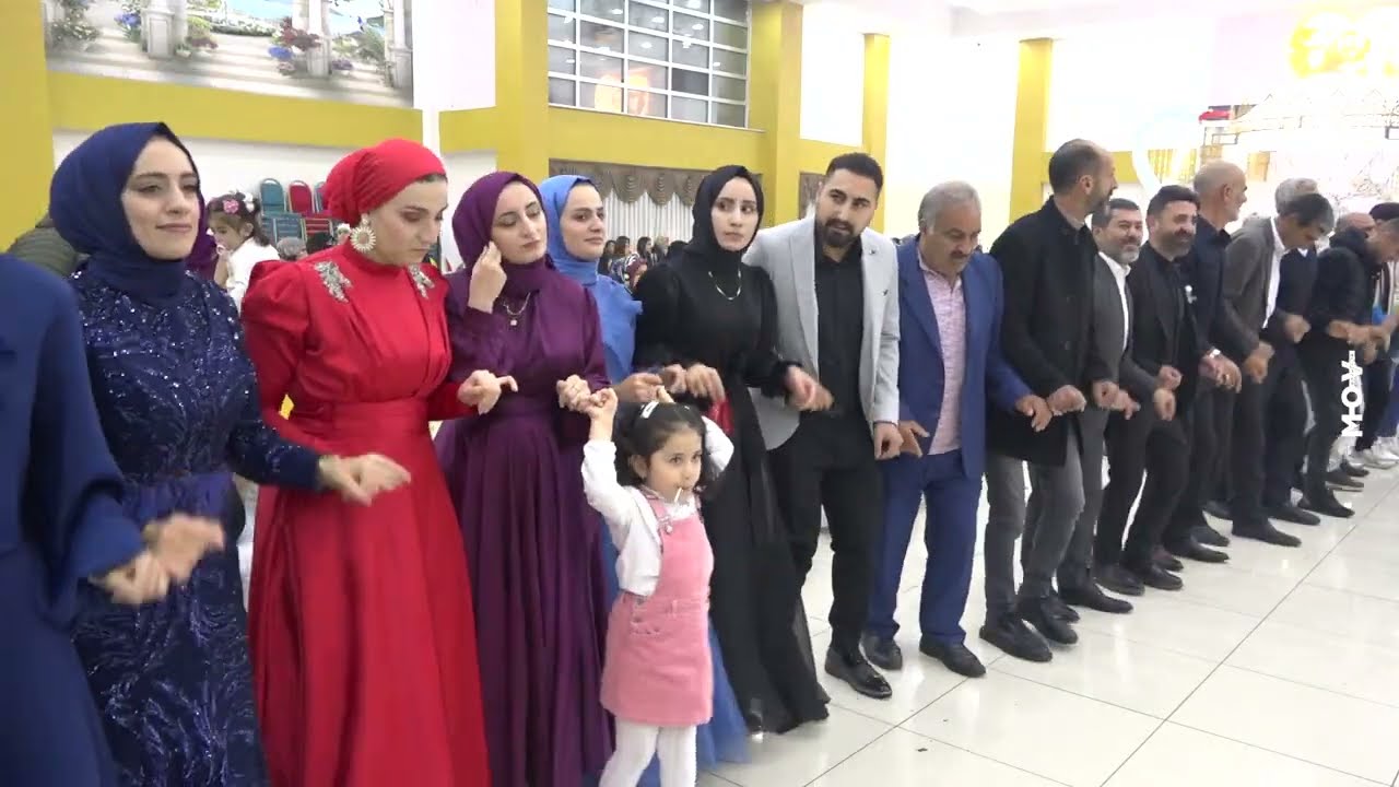 Grani Ağır Delilo Yeni 2024 - KAÇAKÇİMÉ Bingöl - Solhan
