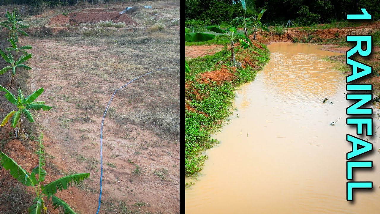 EP6: BEST Water Harvesting System for Your Home's Water Needs?