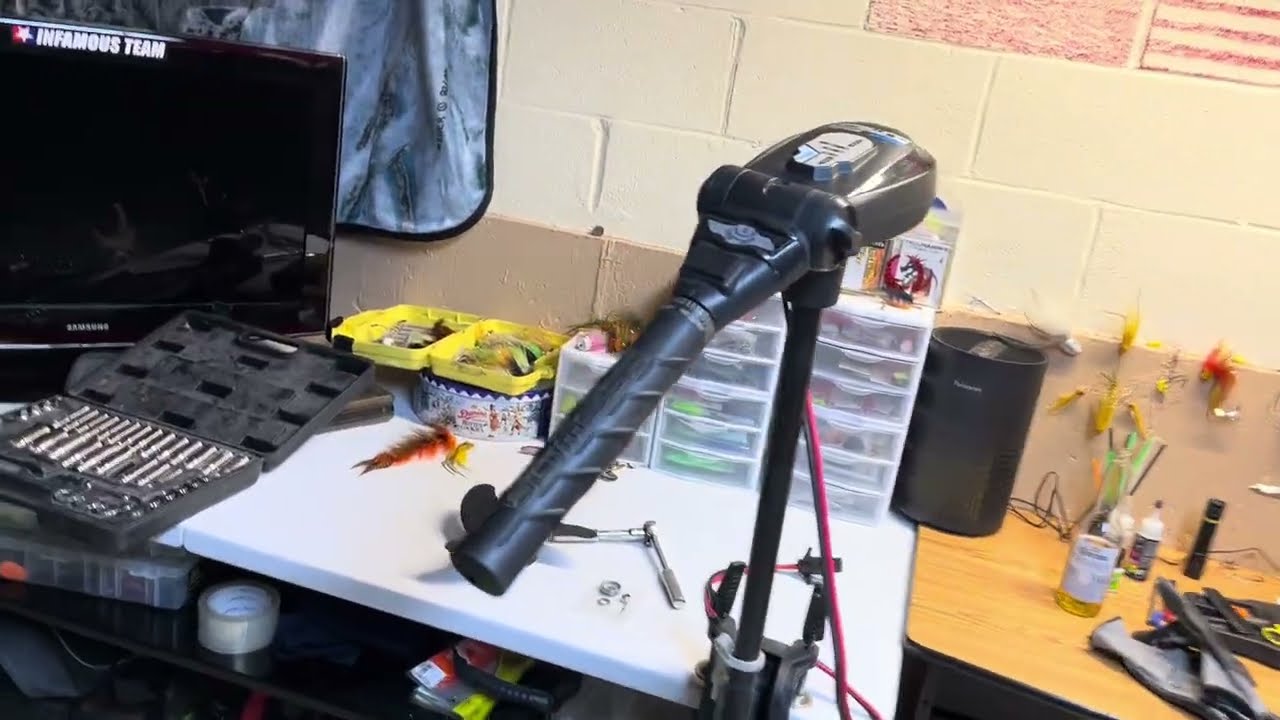 Haswing Protruar 1.0 12v Trolling Motor Review 