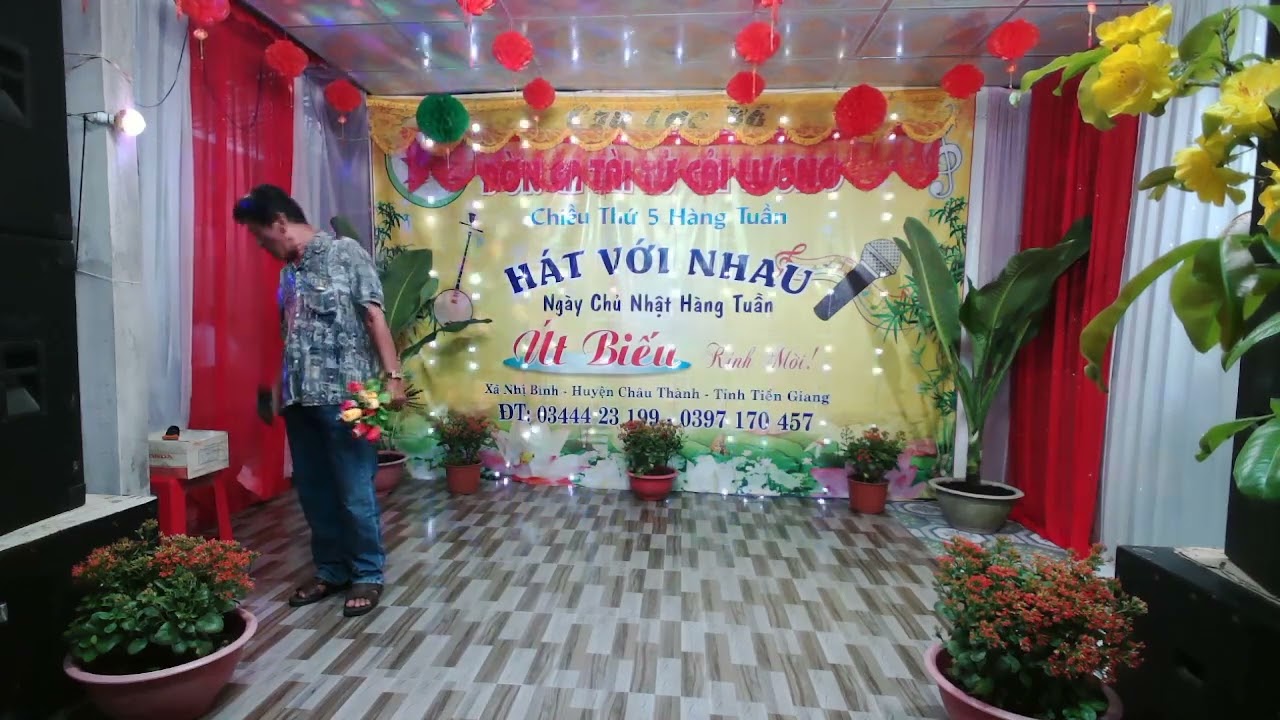 cay cau dua / anh tam