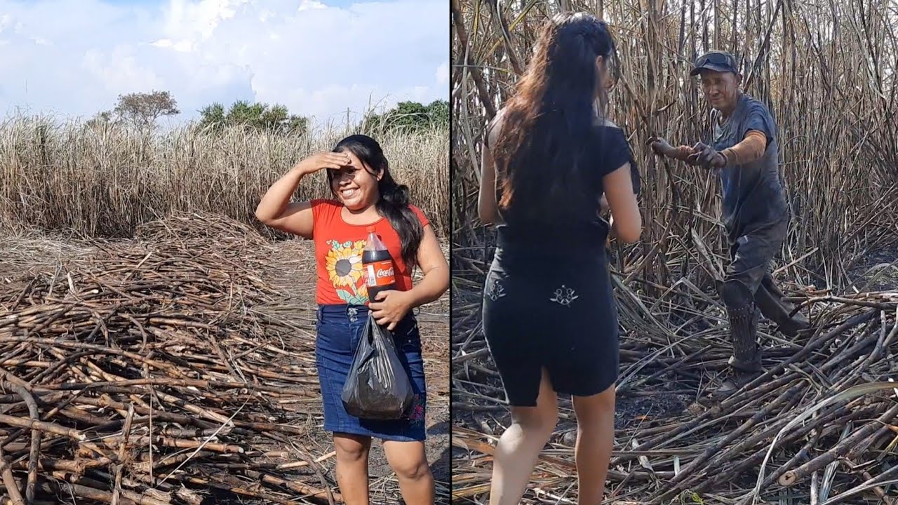 así es como se trabaja cortando caña en guatemala|las chicas le lleva algo para compartir