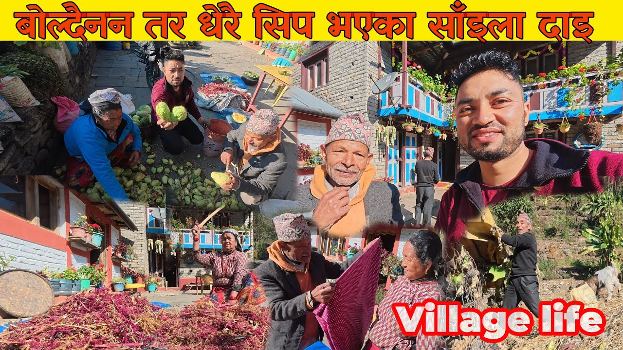  Daily Village Work Nepal 🔴 बोल्न नसक्ने तर सबै काम गर्ने   गाउले साँइला दाइ 