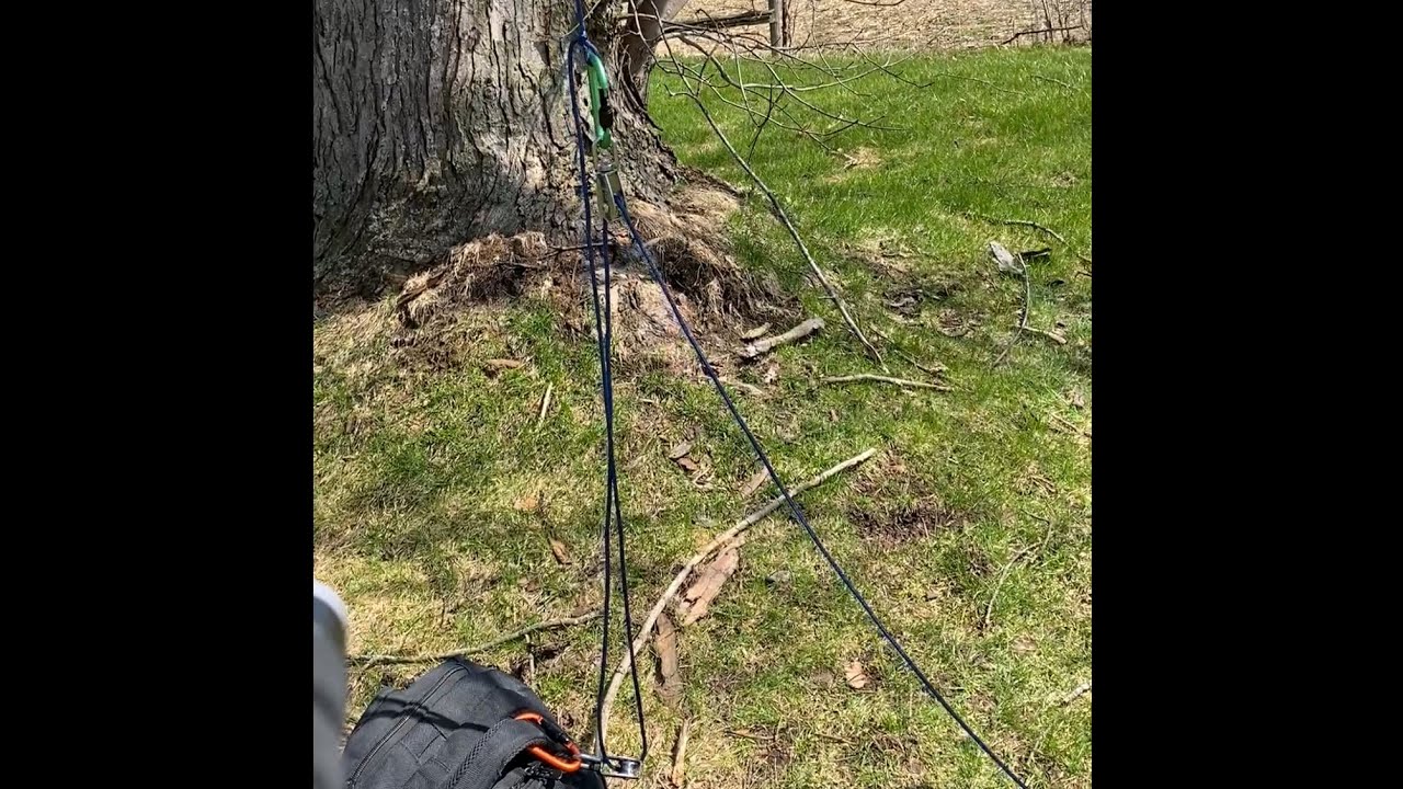 Bear Hang Pully System Setup