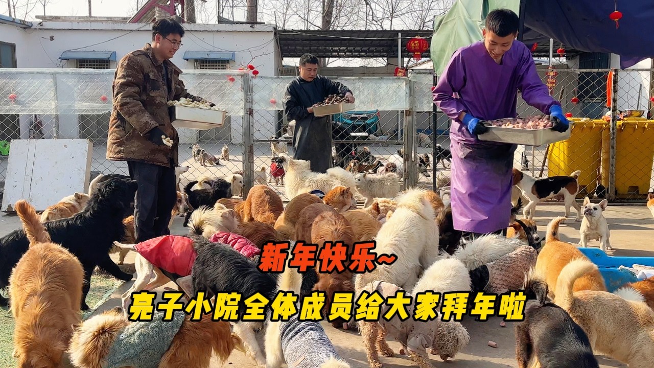 大年初一喜洋洋，滿院春風共歡喜！ 亮子小院攜手毛孩子給您拜年啦