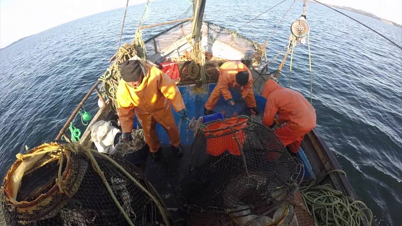 Reportaje  - Puerto Toro