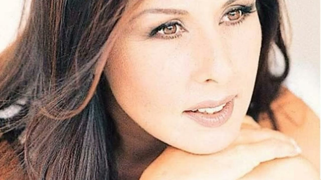 نيلوفر - لا تنكر (أغنية تركية مترجمة) Nil&uuml;fer - İnkar etme