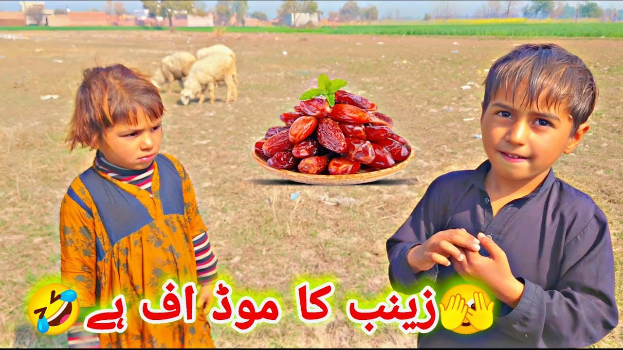 Samose Kam Mile Par Zainab Naraz Ho Gayi 🤣 | Village Life Vlog Ep. 77 | Punjabi Village Culture