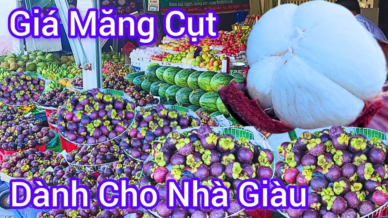 Giá MĂNG CỤT ở vựa trái cây Lái Thiêu hướng dẫn cách lựa trái cây ngon đúng giá
