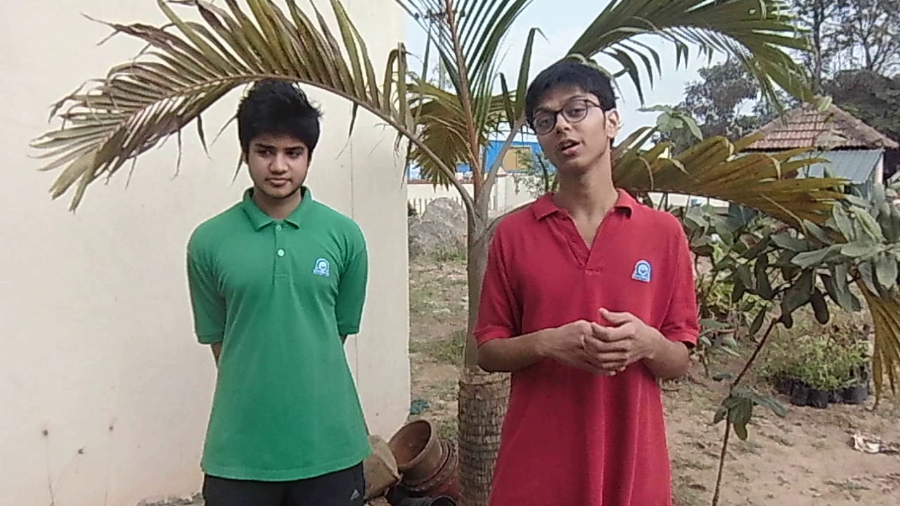 LMOIS IBDP - CAS Activity @ Omega - Tree Plantation