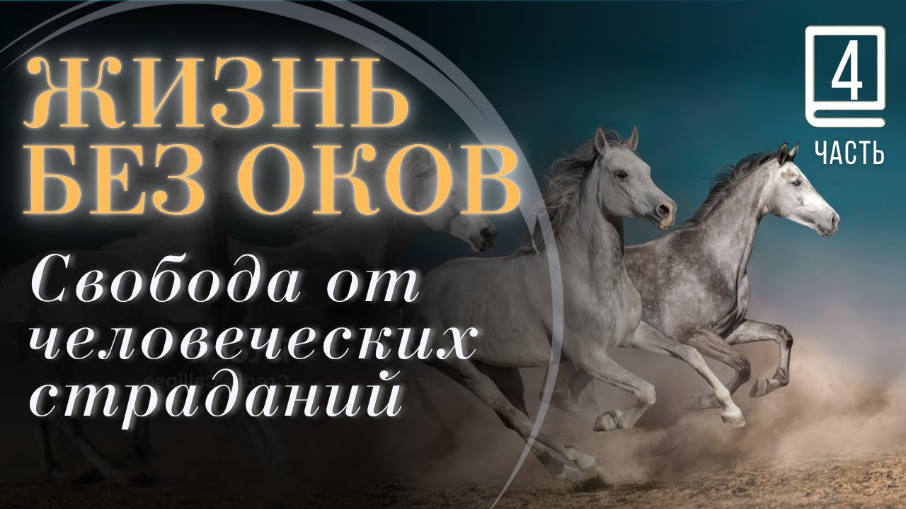 Часть 4  "Жизнь Без Оков" Майкл А. Сингер   