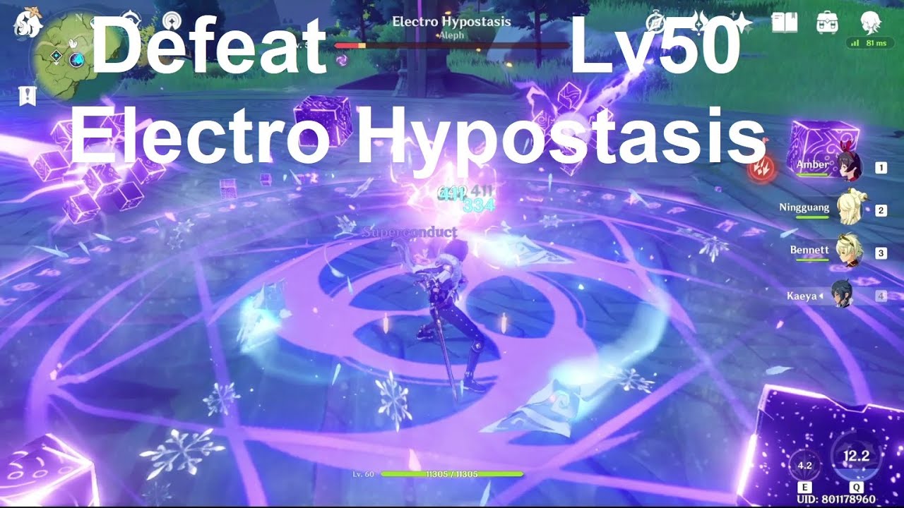 How to Defeat Electro Hypostasis Lv50 | Genshin Impact