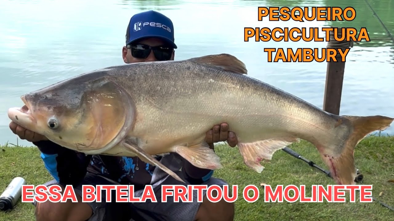 TAMBURY E SUAS CARPAS FORTÍSSIMAS, BOIA CAÍ NA ÁGUA AFUNDANDO…
