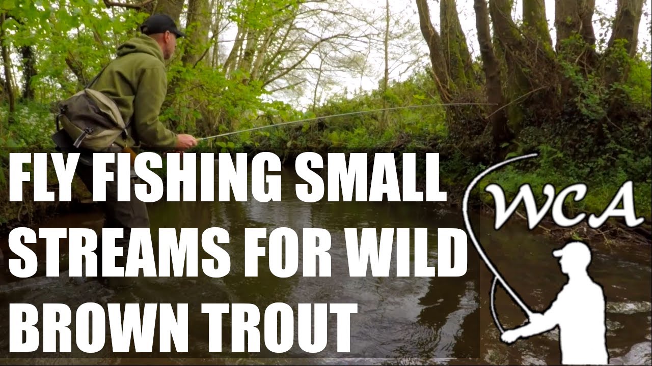 Fly Fishing Small Streams for Wild Brown Trout - River Lowman, Devon