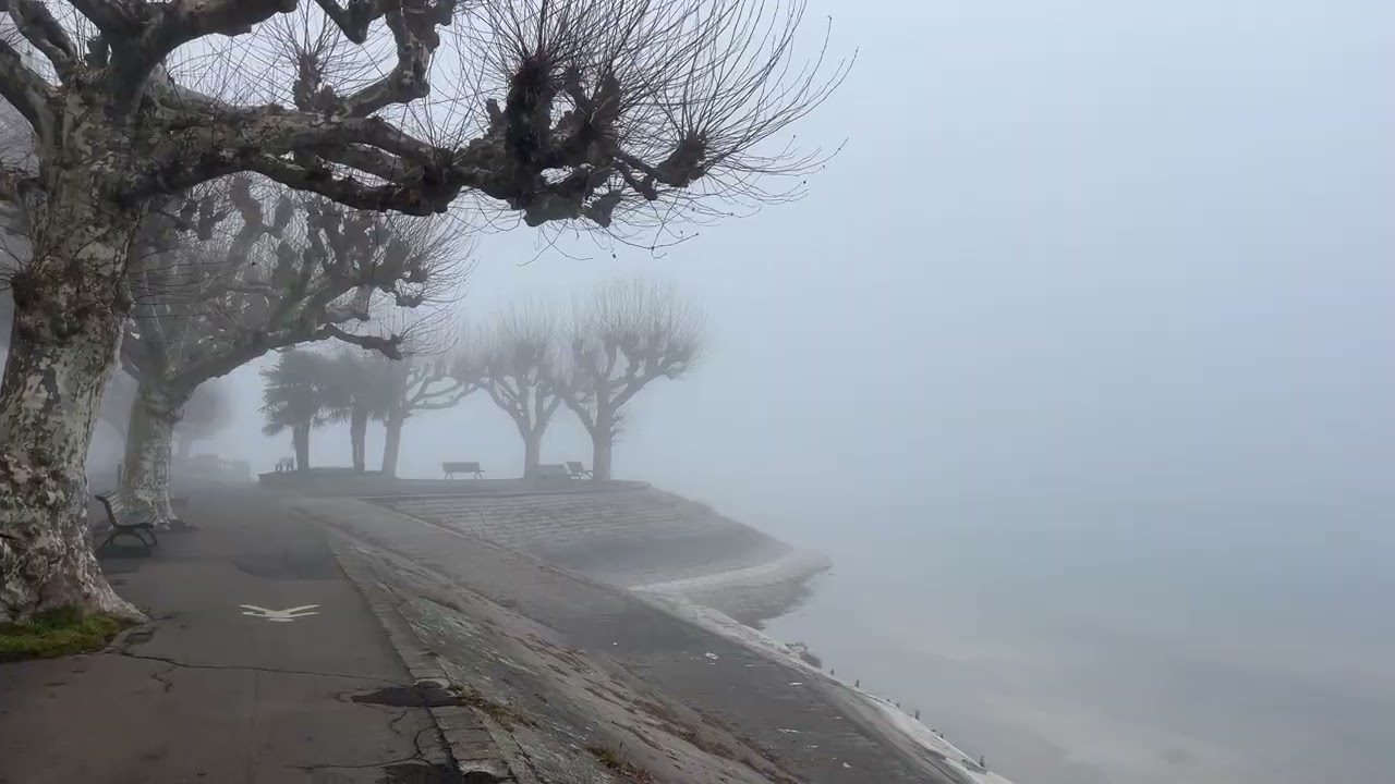 Констанц | город в Германии на границе со Швейцарией | Туманное утро 