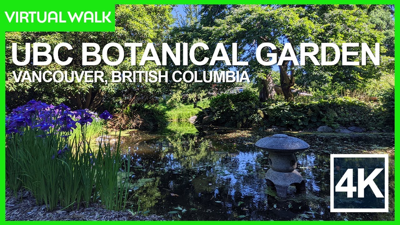 Morning Walk at UBC Botanical Garden - 4K Virtual Garden Walk Tour Canada - Vancouver Travel Guide
